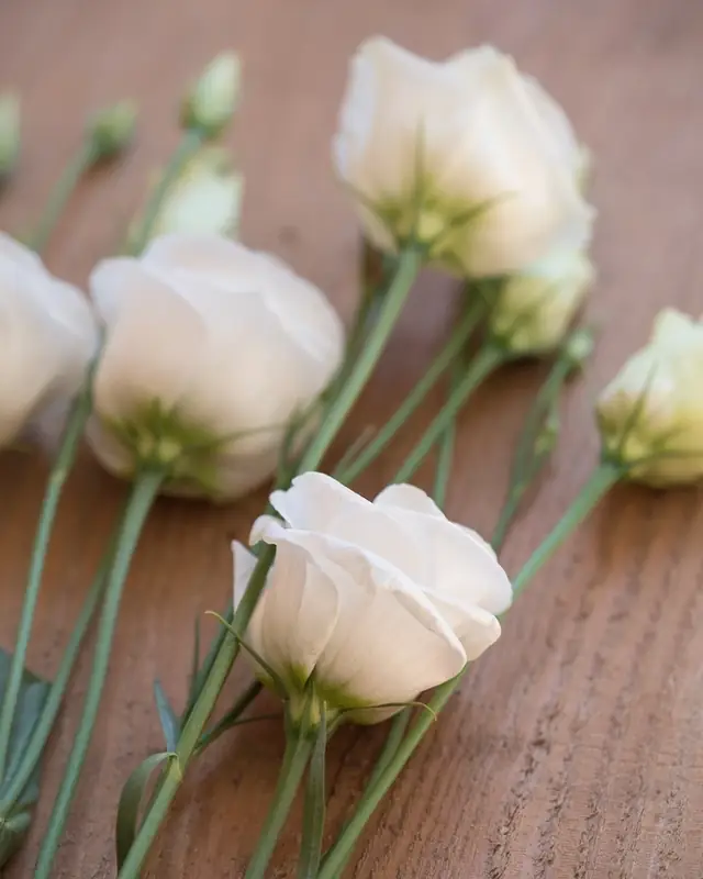 Lisianthus